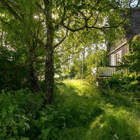 Unique On Limfjord Hilltop Dom wakacyjny *